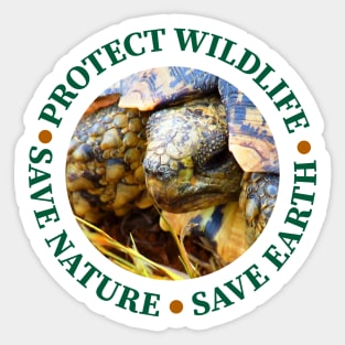 Wildlife Conservation Earth Day Tortoise Sticker